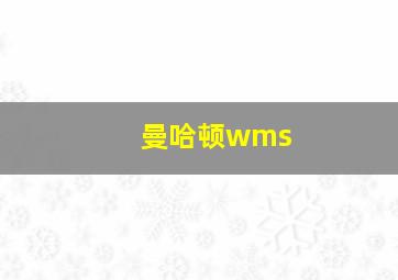 曼哈顿wms