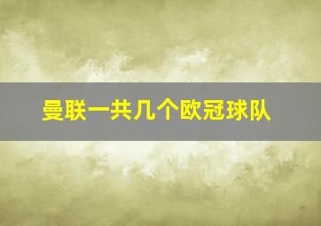 曼联一共几个欧冠球队