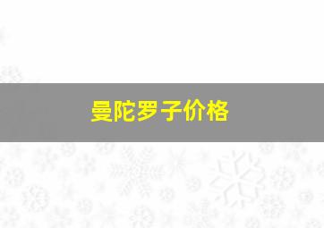 曼陀罗子价格