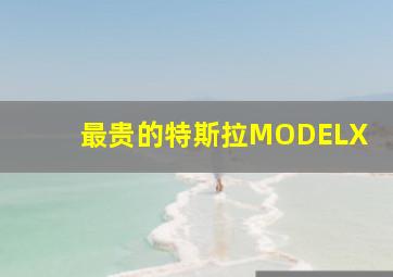 最贵的特斯拉MODELX