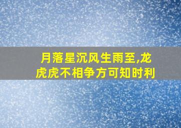 月落星沉风生雨至,龙虎虎不相争方可知时利