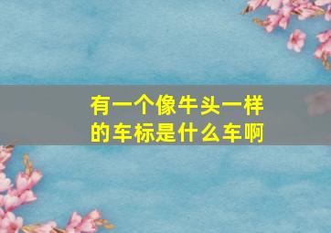 有一个像牛头一样的车标是什么车啊