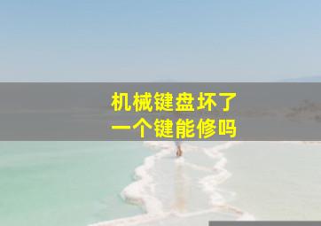 机械键盘坏了一个键能修吗