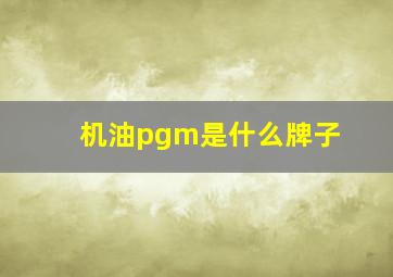 机油pgm是什么牌子