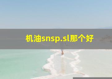 机油snsp.sl那个好