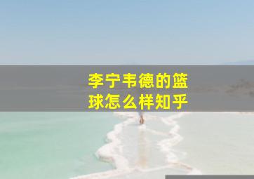 李宁韦德的篮球怎么样知乎