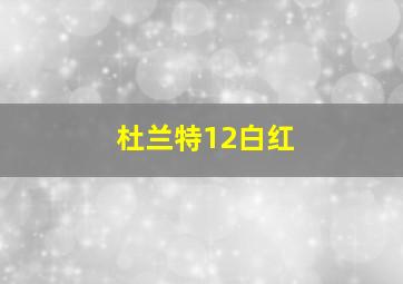 杜兰特12白红