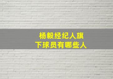 杨毅经纪人旗下球员有哪些人