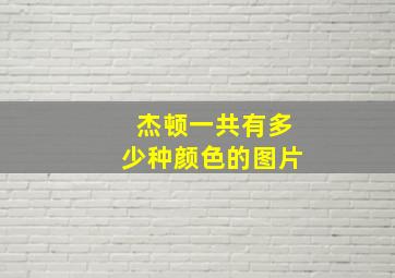 杰顿一共有多少种颜色的图片