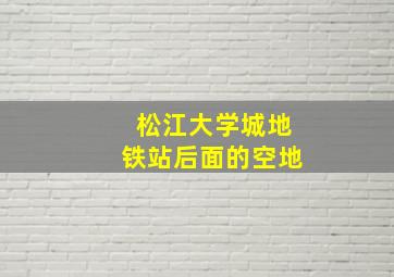 松江大学城地铁站后面的空地