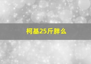 柯基25斤胖么