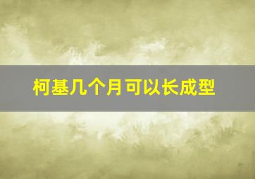 柯基几个月可以长成型