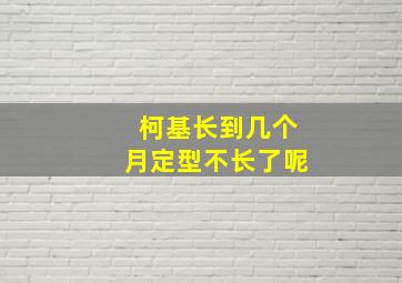 柯基长到几个月定型不长了呢