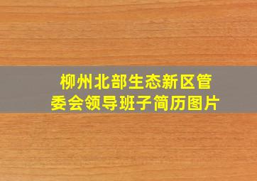 柳州北部生态新区管委会领导班子简历图片