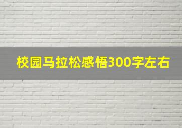 校园马拉松感悟300字左右