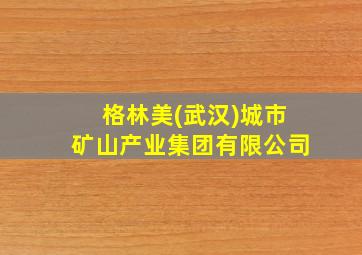 格林美(武汉)城市矿山产业集团有限公司