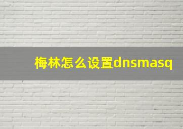 梅林怎么设置dnsmasq