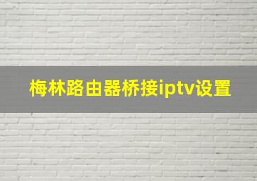 梅林路由器桥接iptv设置