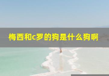 梅西和c罗的狗是什么狗啊