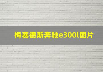 梅赛德斯奔驰e300l图片