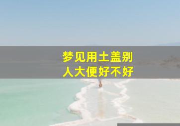 梦见用土盖别人大便好不好