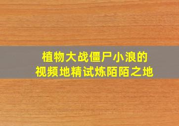 植物大战僵尸小浪的视频地精试炼陌陌之地