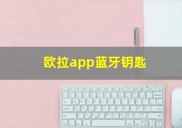 欧拉app蓝牙钥匙