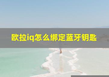 欧拉iq怎么绑定蓝牙钥匙