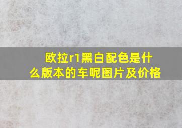 欧拉r1黑白配色是什么版本的车呢图片及价格