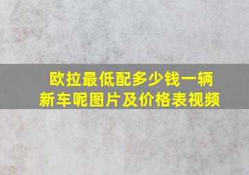 欧拉最低配多少钱一辆新车呢图片及价格表视频