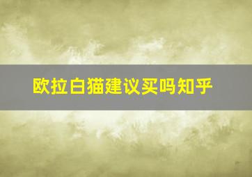 欧拉白猫建议买吗知乎