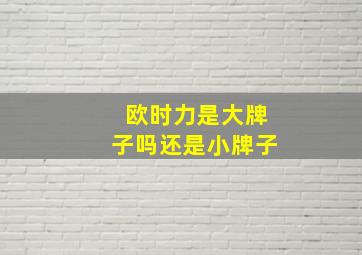 欧时力是大牌子吗还是小牌子