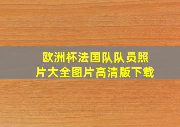 欧洲杯法国队队员照片大全图片高清版下载