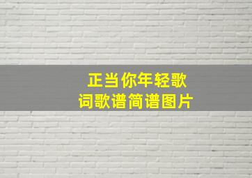 正当你年轻歌词歌谱简谱图片