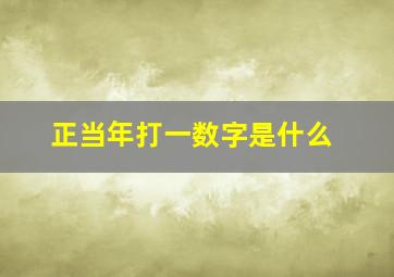 正当年打一数字是什么