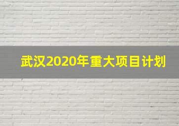 武汉2020年重大项目计划