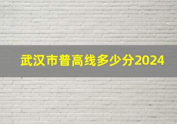 武汉市普高线多少分2024