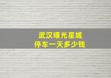 武汉曙光星城停车一天多少钱