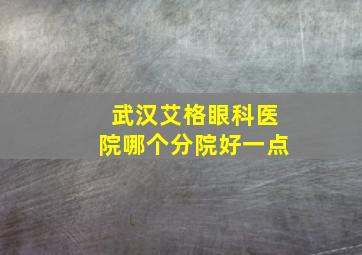 武汉艾格眼科医院哪个分院好一点