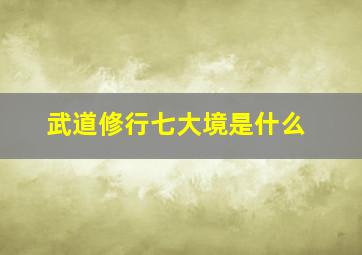 武道修行七大境是什么