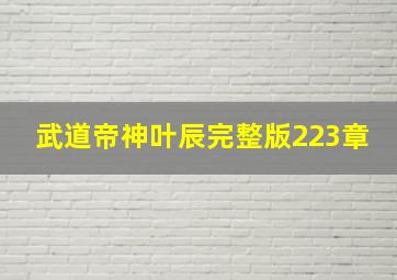 武道帝神叶辰完整版223章