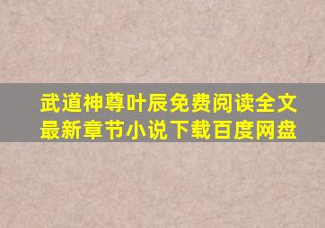 武道神尊叶辰免费阅读全文最新章节小说下载百度网盘