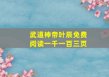 武道神帝叶辰免费阅读一千一百三页