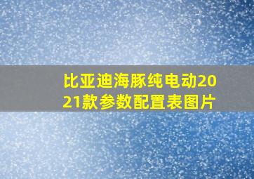 比亚迪海豚纯电动2021款参数配置表图片