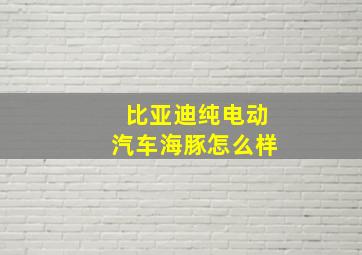 比亚迪纯电动汽车海豚怎么样