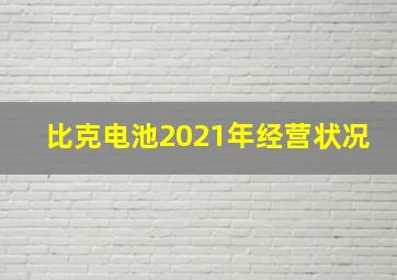 比克电池2021年经营状况