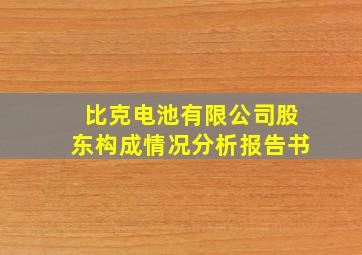 比克电池有限公司股东构成情况分析报告书