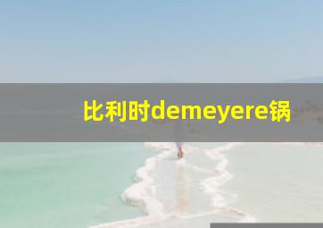 比利时demeyere锅