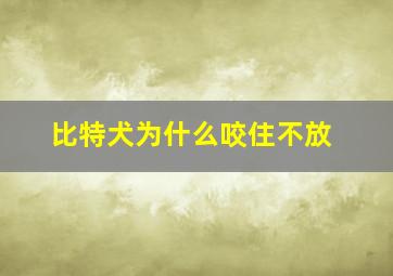 比特犬为什么咬住不放