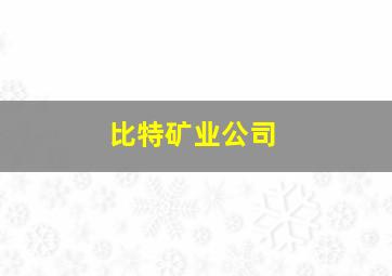 比特矿业公司